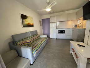 Appartement 2 pièces avec loggia et piscine à 100m de la plage - Le Grau-du-Roi - FR-1-250-250